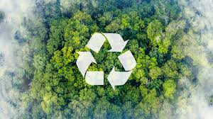 AI Solutions for Plastic Pollution